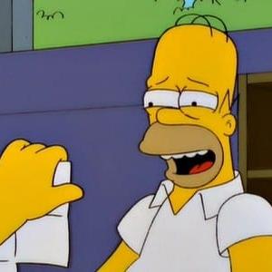 Les Simpson