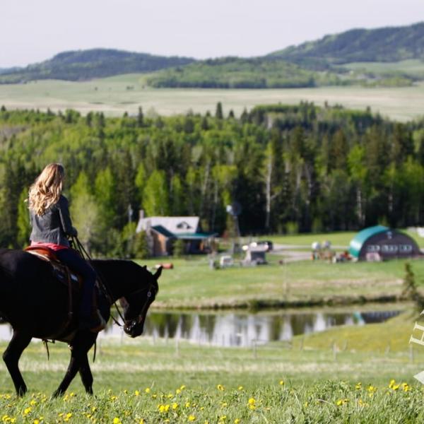 Heartland