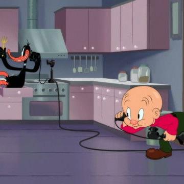 Looney Tunes Cartoons