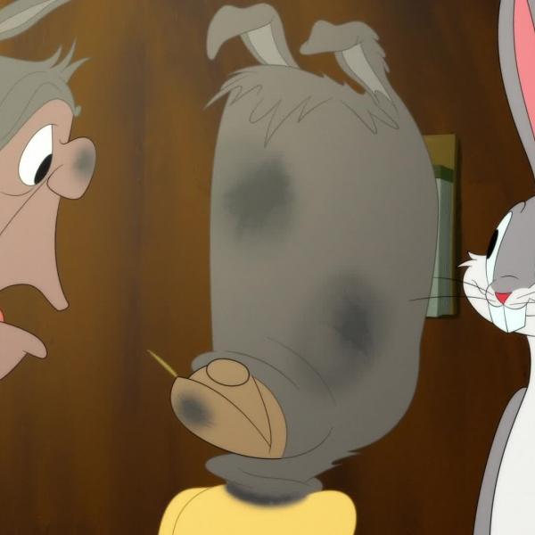 Looney Tunes Cartoons