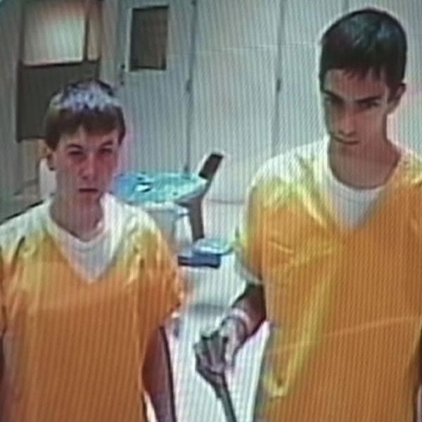 Scream : Meurtre au lycée