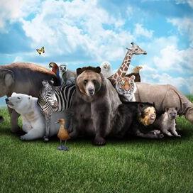 Afrique: à la vie, à la mort