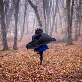 Le projet Hummingbird