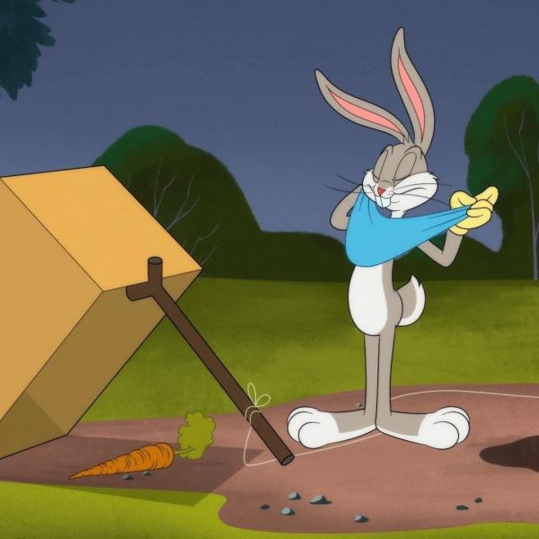 Looney Tunes Cartoons