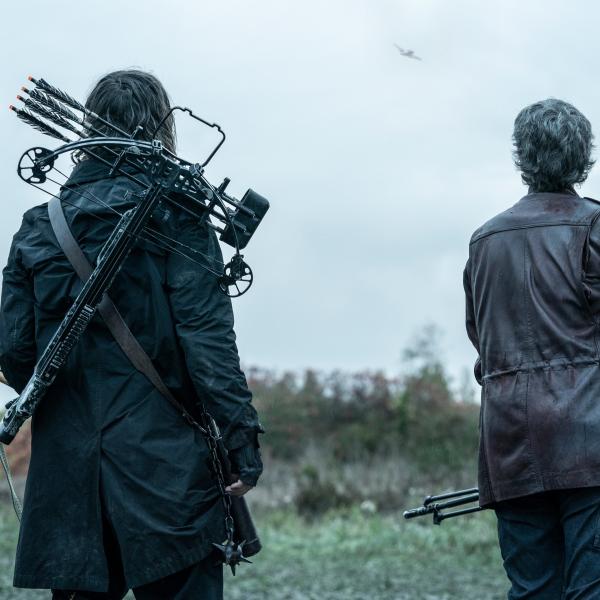 The Walking Dead : Daryl Dixon