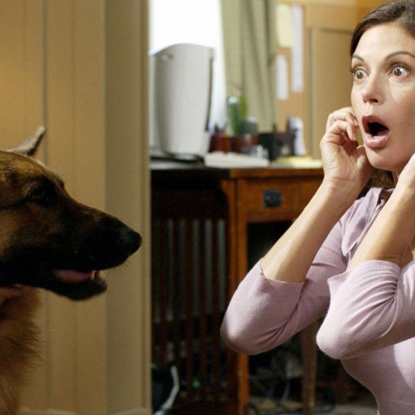 Desperate Housewives