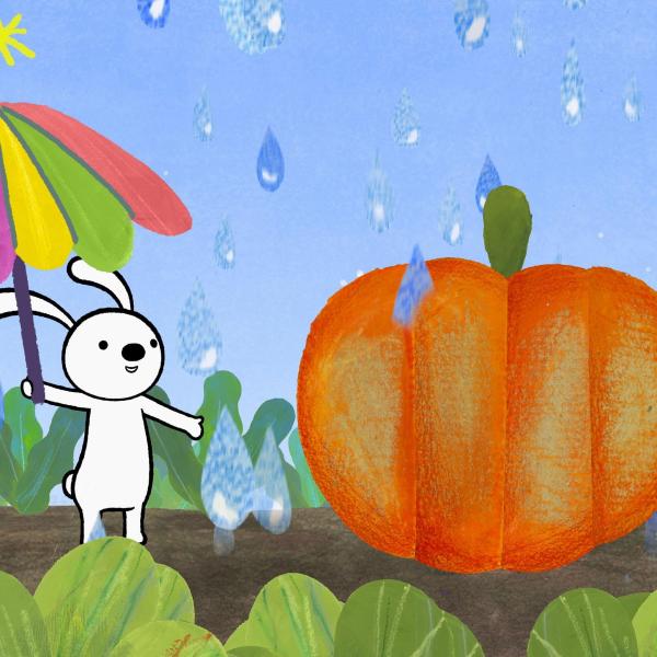 Ceci n’est pas une boîte