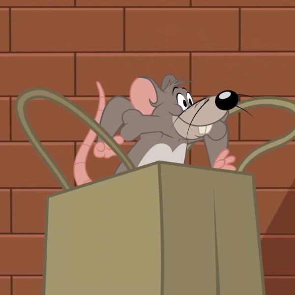 Tom et Jerry Show