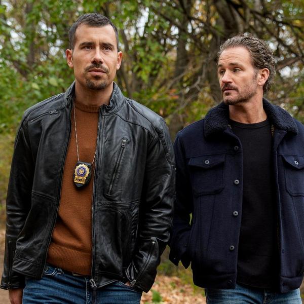 New York Unité Spéciale