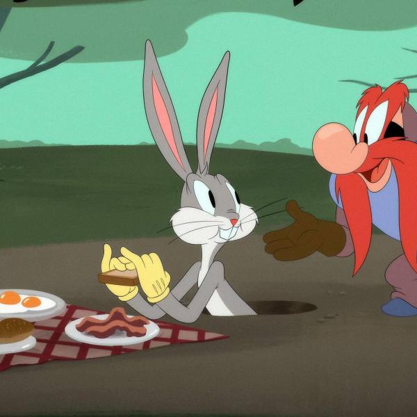 Looney Tunes Cartoons