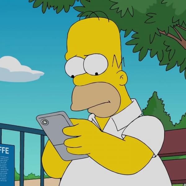 Les Simpson