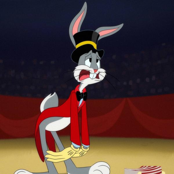 Looney Tunes Cartoons