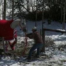 Heartland