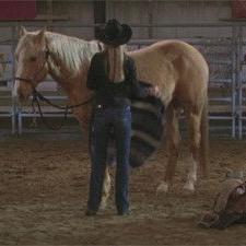 Heartland