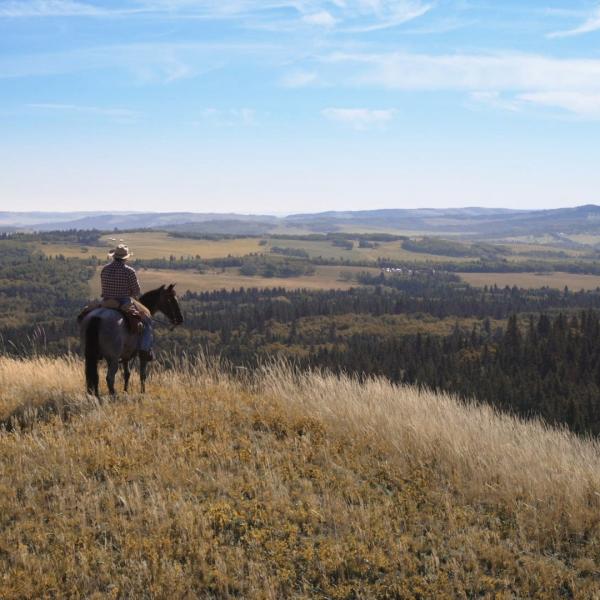 Heartland
