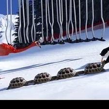 Athleticus