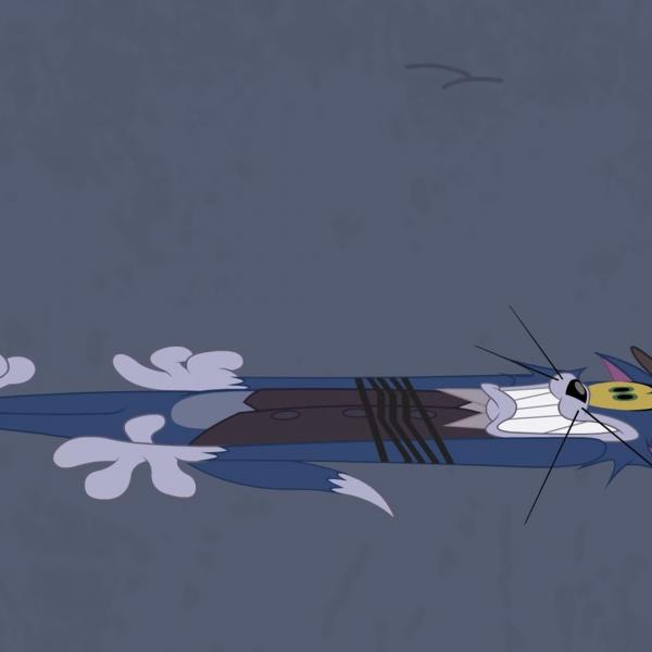 Tom et Jerry Show