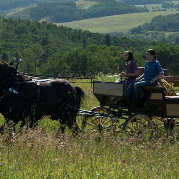 Heartland