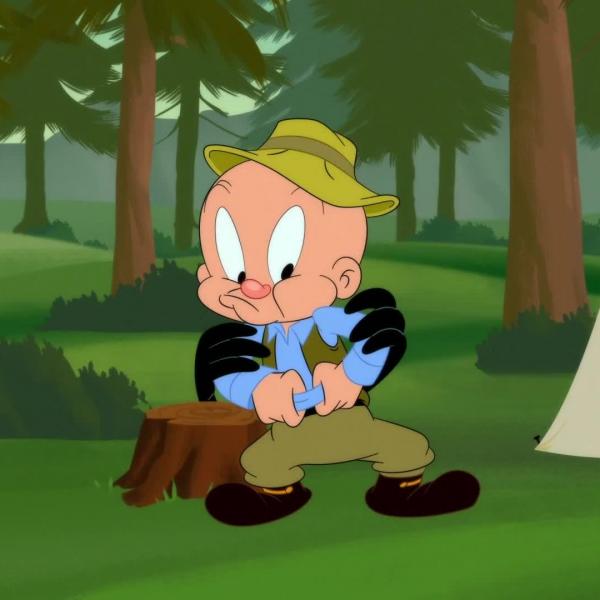 Looney Tunes Cartoons