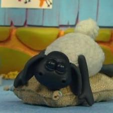 Voici Timmy