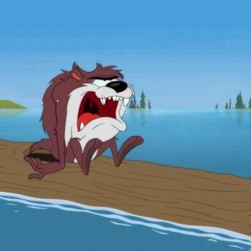 Looney Tunes Cartoons