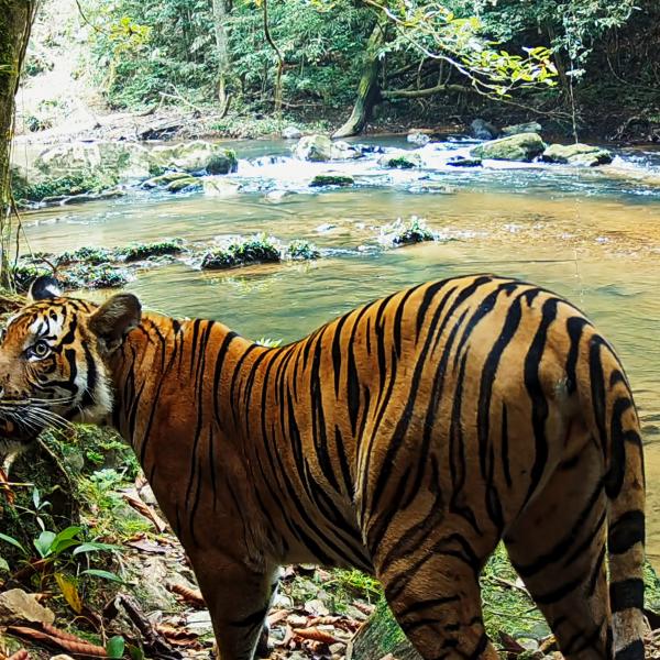 L’Aventure sauvage