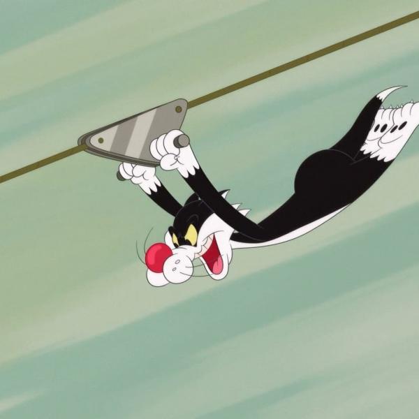 Looney Tunes Cartoons