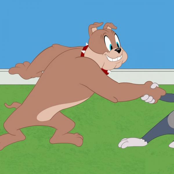 Tom et Jerry Show