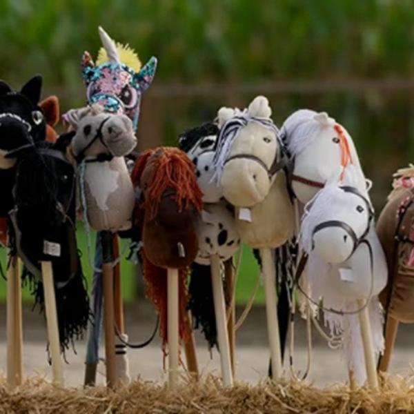 Les stars sont dans le pré
