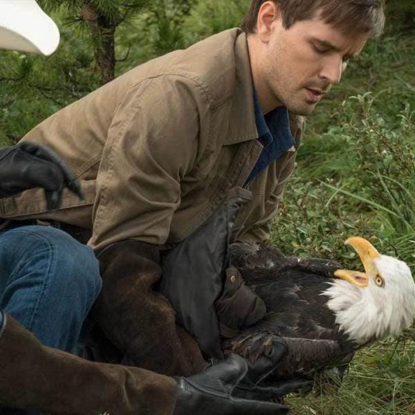 Heartland