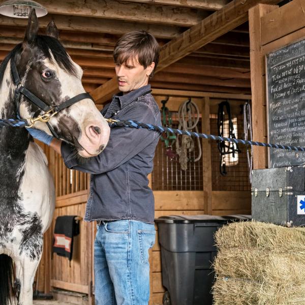 Heartland