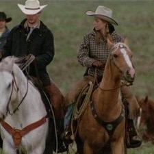 Heartland