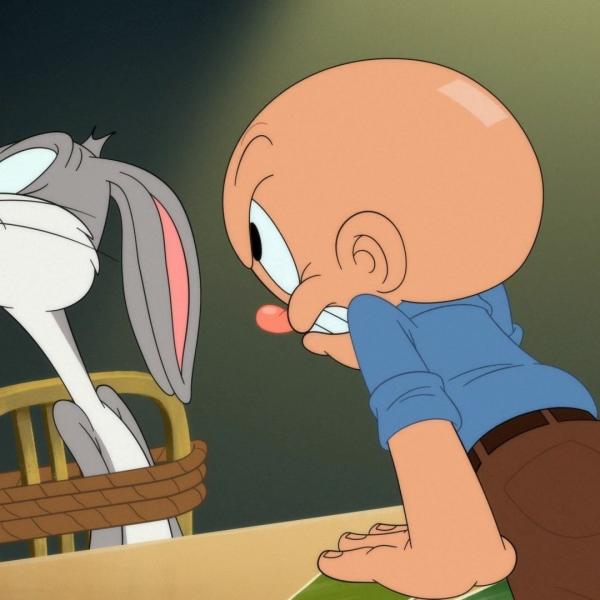 Looney Tunes Cartoons