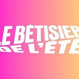 Le bêtisier de l'été