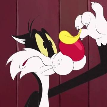 Looney Tunes Cartoons