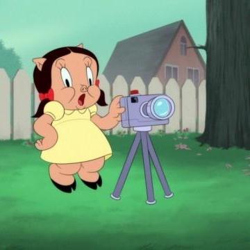 Looney Tunes Cartoons