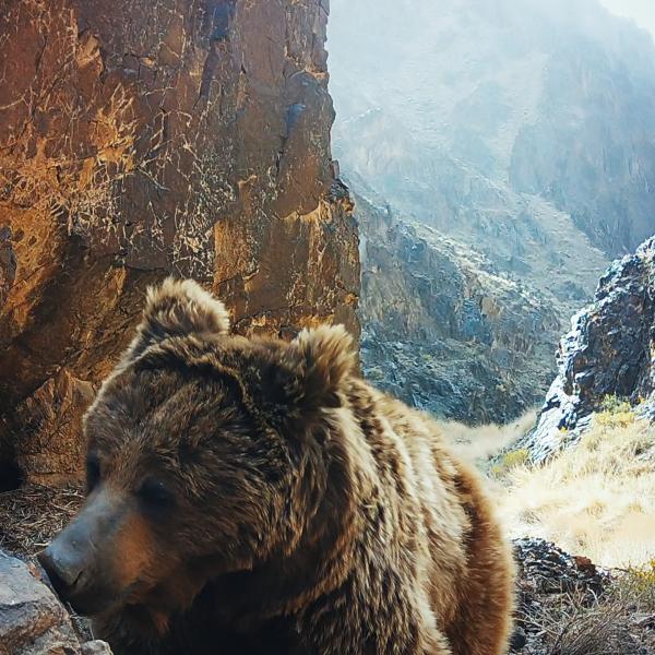 L’Aventure sauvage