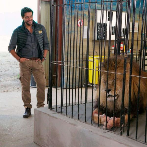 Joséphine, ange gardien