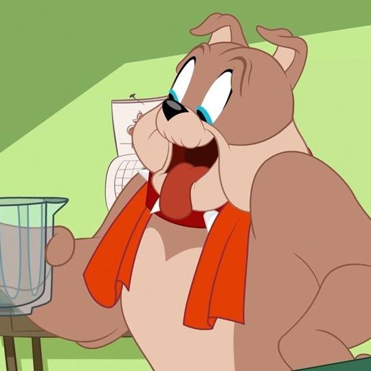 Tom et Jerry Show