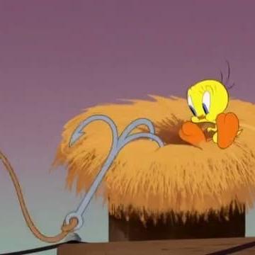 Looney Tunes Cartoons