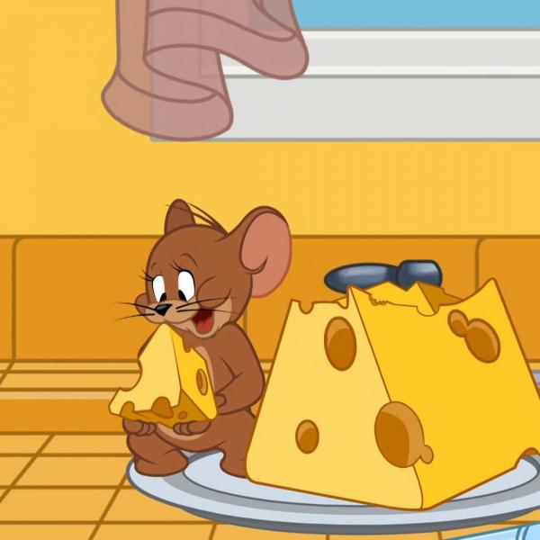 Tom et Jerry Show