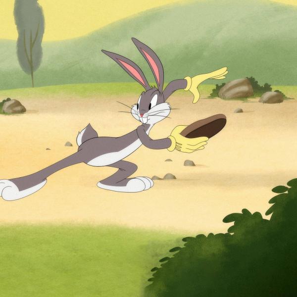 Looney Tunes Cartoons
