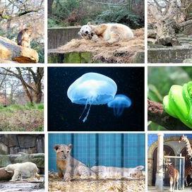 Destination Wild : L'Inde à l'état sauvage