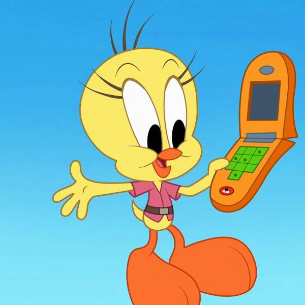 Bugs Bunny Builders
