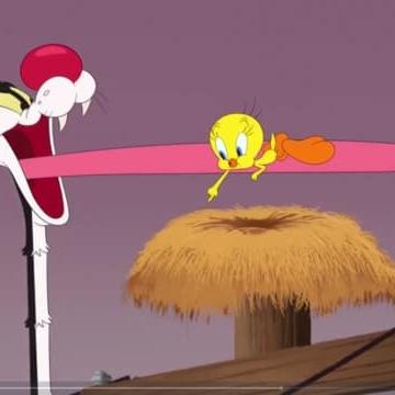 Looney Tunes Cartoons