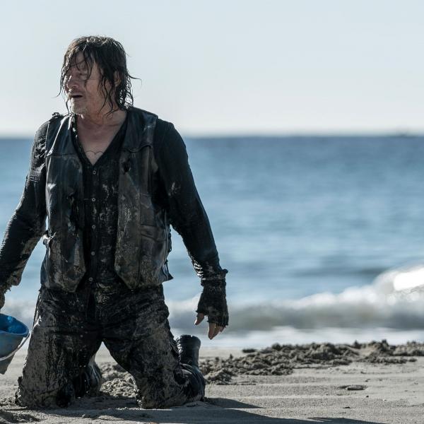 The Walking Dead : Daryl Dixon