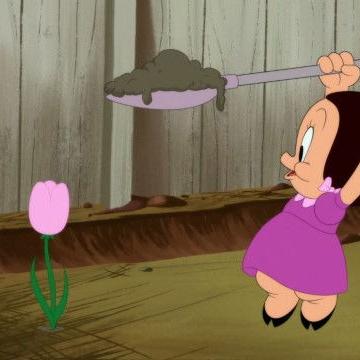 Looney Tunes Cartoons