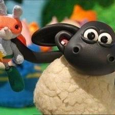Voici Timmy