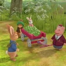 Pierre Lapin