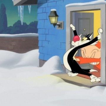 Looney Tunes Cartoons
